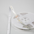 Light Waterproof Power Max.24w Cri >80 Luminous Efficiency 80 Lm/w Third-party Intelligent Speaker Voice Control Strip Led